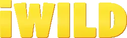 iwild casino Завантаження